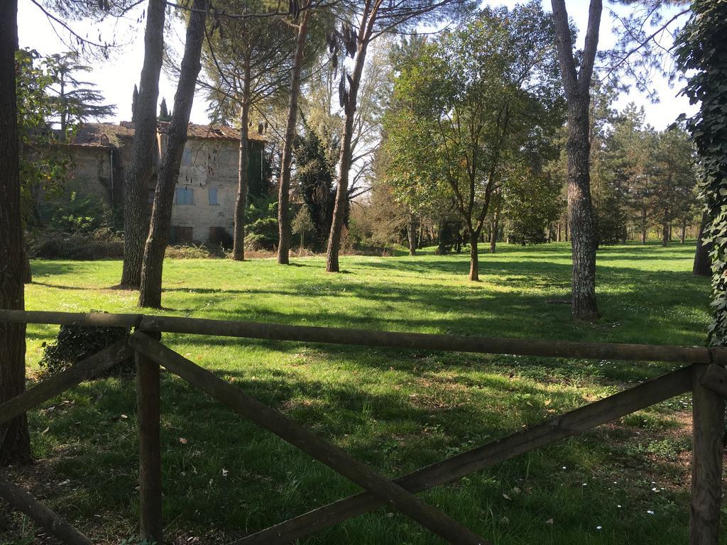Old Town In The Green: Federico'S Apartment. Firenze Eksteriør billede